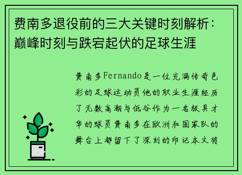 费南多退役前的三大关键时刻解析:巅峰时刻与跌宕起伏的足球生涯 费南多退役前的三大关键时刻解析:巅峰时刻与跌宕起伏的足球生涯