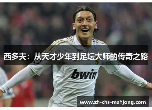 西多夫:从天才少年到足坛大师的传奇之路 西多夫:从天才少年到足坛大师的传奇之路
