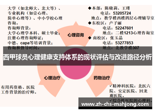西甲球员心理健康支持体系的现状评估与改进路径分析 西甲球员心理健康支持体系的现状评估与改进路径分析