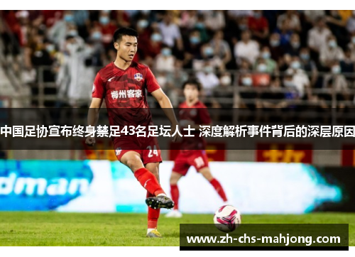 中国足协宣布终身禁足43名足坛人士 深度解析事件背后的深层原因