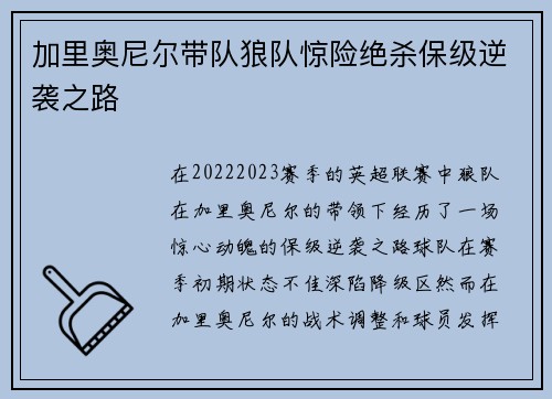 加里奥尼尔带队狼队惊险绝杀保级逆袭之路